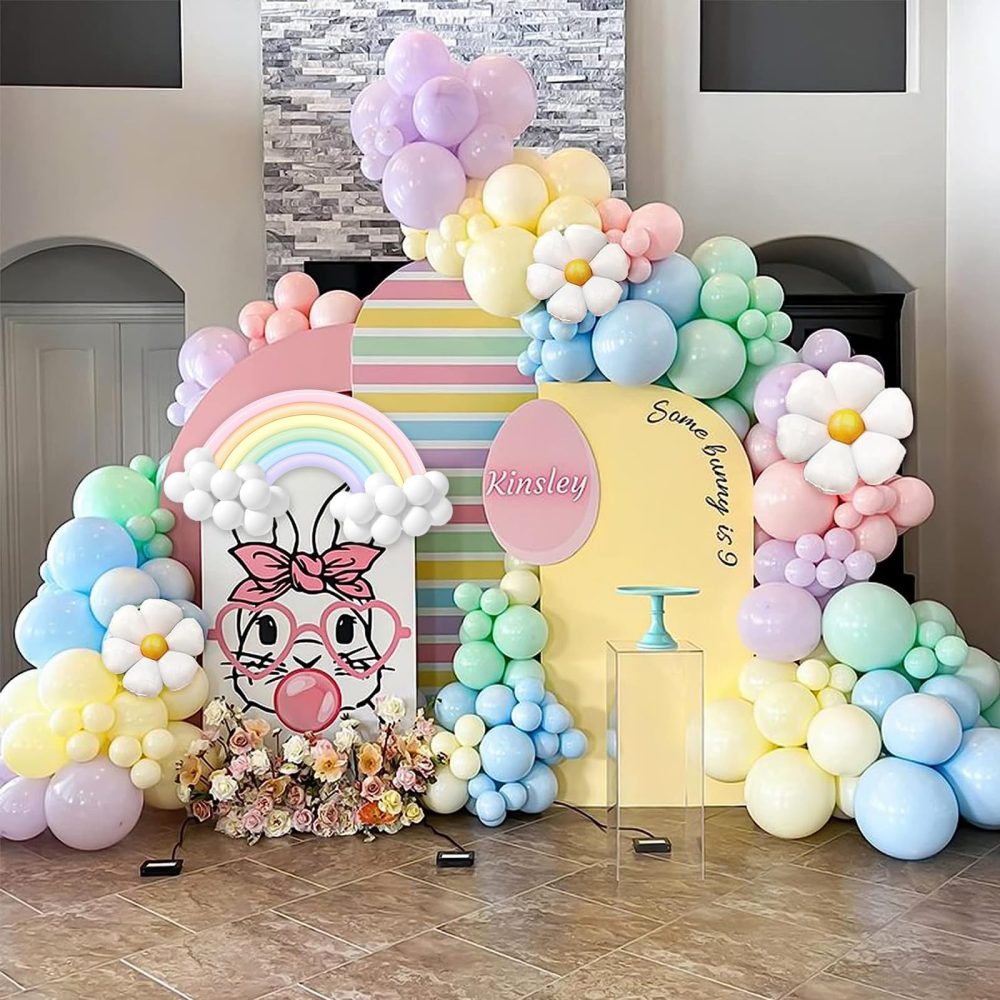 Pastel Balloon Arch Kit Pastel Party Decorations With Daisy Balloons,Pastel Balloons And Pastel Long Balloons Rainbow Balloons Arch Kit Baby Shower Balloon Arch For Birthday Gender Reveal Decoration - Image 5