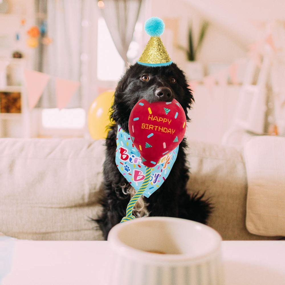 KOOLTAIL Dog Birthday Bandana Hat Balloon Plush Toy Set, Cute Pet Happy Birthday Accessory Puppy Chew Toy for Dogs Cats Puppies - Image 3