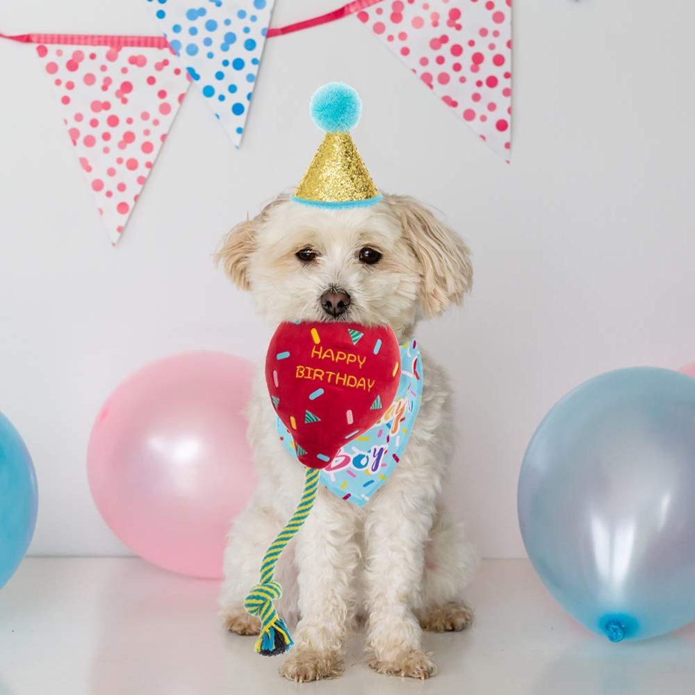 KOOLTAIL Dog Birthday Bandana Hat Balloon Plush Toy Set, Cute Pet Happy Birthday Accessory Puppy Chew Toy for Dogs Cats Puppies - Image 2