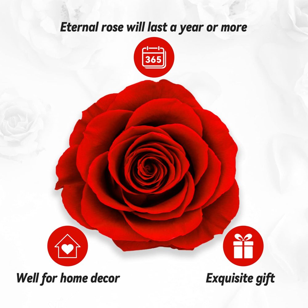 Preserved Real Rose, Gift Box with I Love You Necklace, Handmade Eternal Flower Gifts for Her Woman Wife Girlfriend on Birthday, Anniversary, Valentine's Day, Mother's Day, Christmas - Image 5