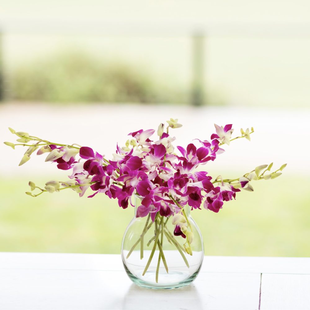 10 Beautiful Singapore Dendrobium Orchids for a Touch of Eastern Charm, They Come with Our 10-14-day Freshness Guarantee. - Image 5