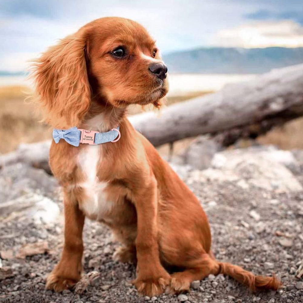 PET ARTIST Soft & Comfy Bowtie Dog Collar with Rose Gold Buckle - Personalized Dog Collar Girl with Name Plate Engraved - Adjustable Dog Collars Pet Gift for Small Medium Large Dogs,Blue,S - Image 3