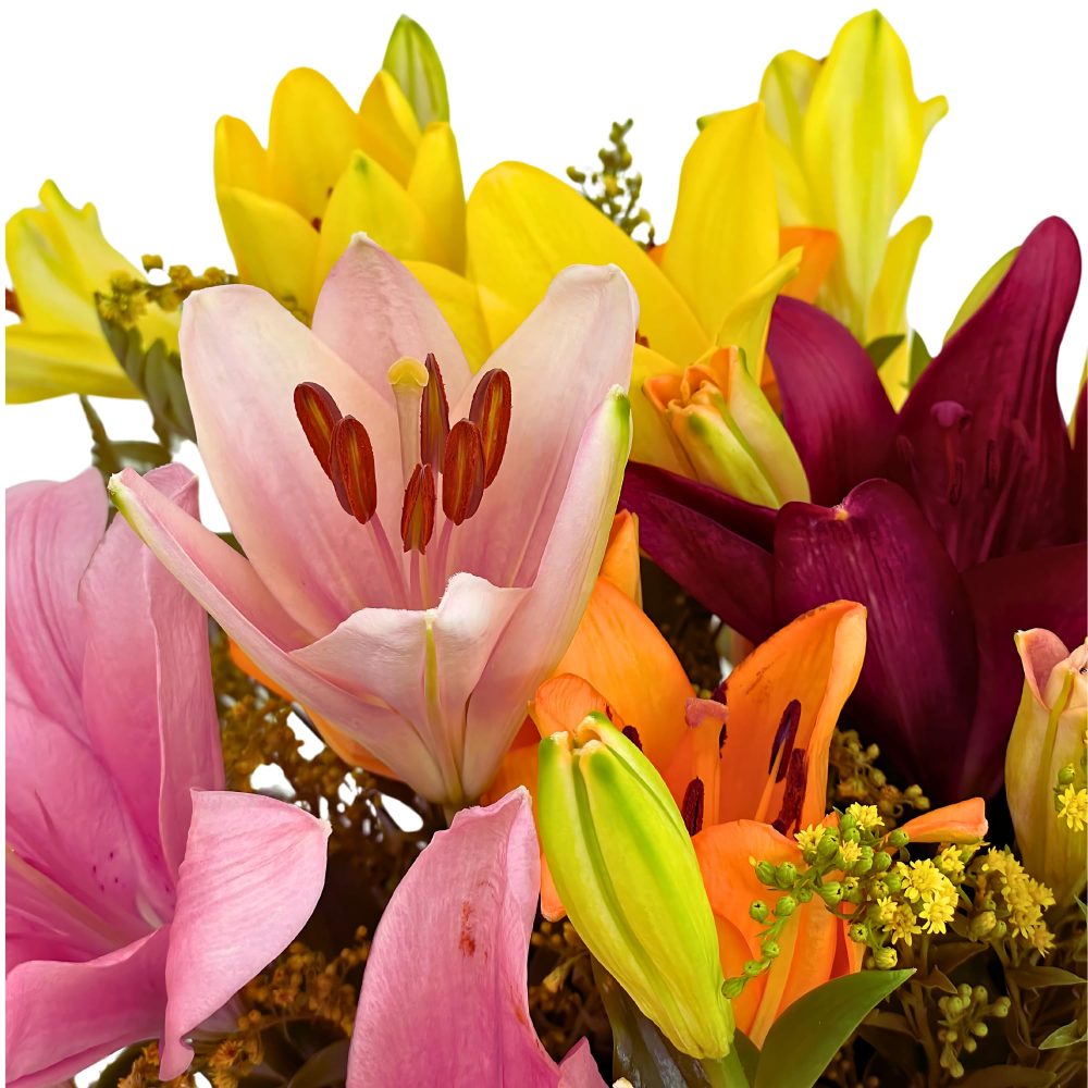 Homeland Florists Asiatic Lily Fresh Flowers Delivery Next Day Prime, Send a Luxury Gift Wrapped Bouquet of Lilies with Personalised Handwritten Card - Image 7