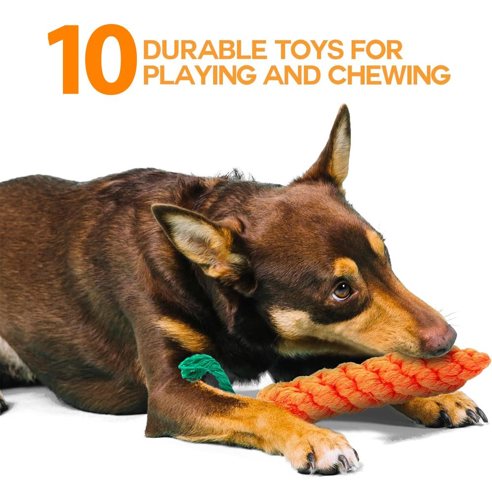 ZENO Chew Dog Toys - Pack of 10 | Teething & Training Washable Cotton Safe Dog Toy Gift Set | Strong Ropes, Balls & Tug for Exercise & Fun | Great for Small, Medium & Large Puppies & Dogs - Image 5