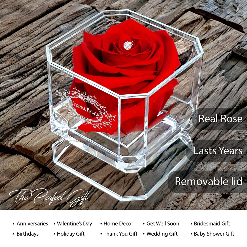 A 100% Real Rose That Lasts Years - Eternal Petals, Handmade in UK – White Gold Solo with A Multicolor Crystal (Red) - Image 6