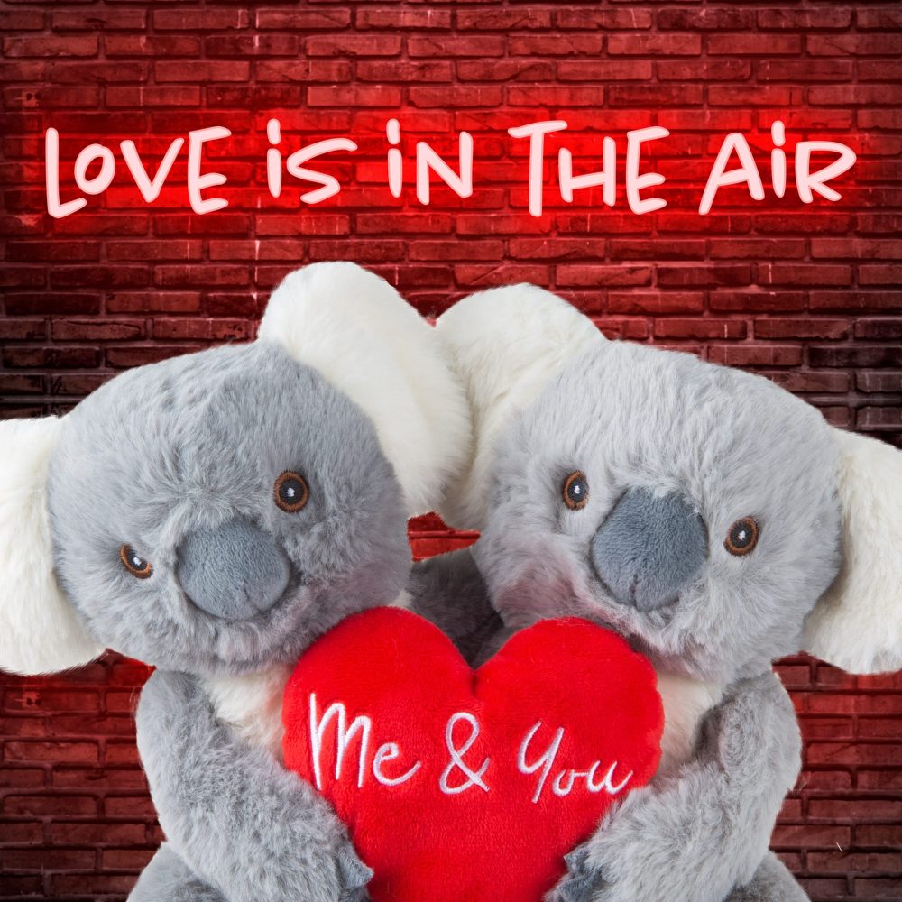 VFM - Koala Valentines Soft Toy You And Me Couple Koala Plush Toy 20cm x 18cm - Image 4